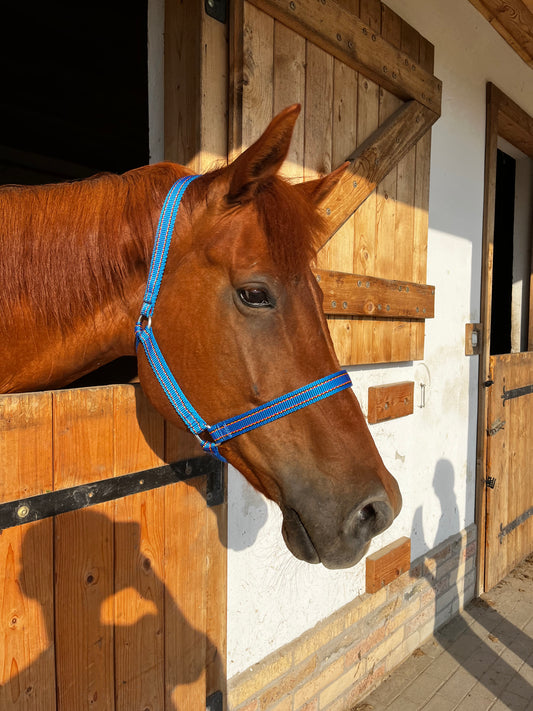 Kék-mintás Gurtni Lókötőfék