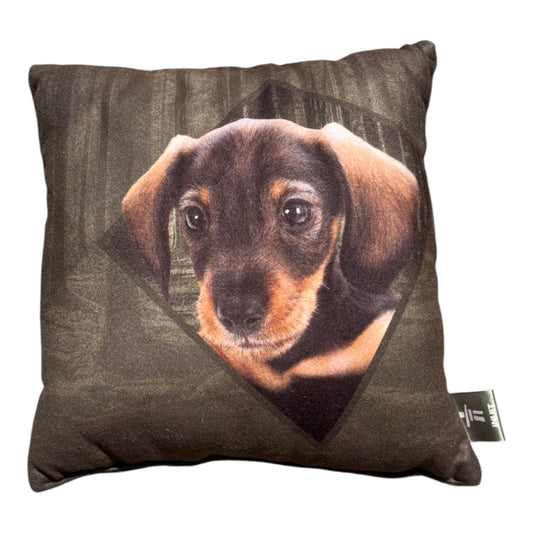 INUIT Tacskós Párna